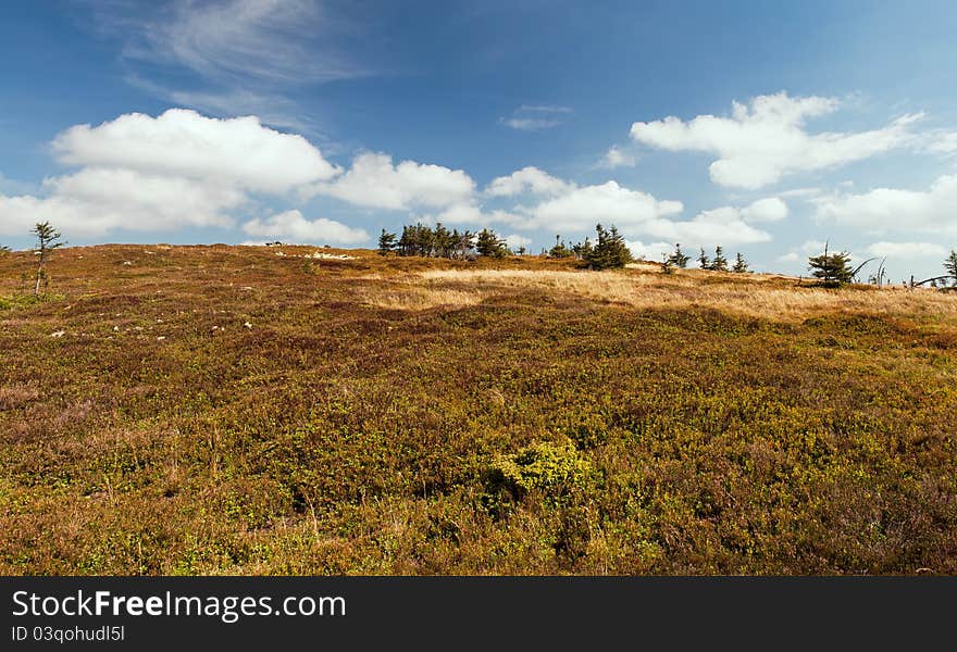 Panorama Of European Countryside