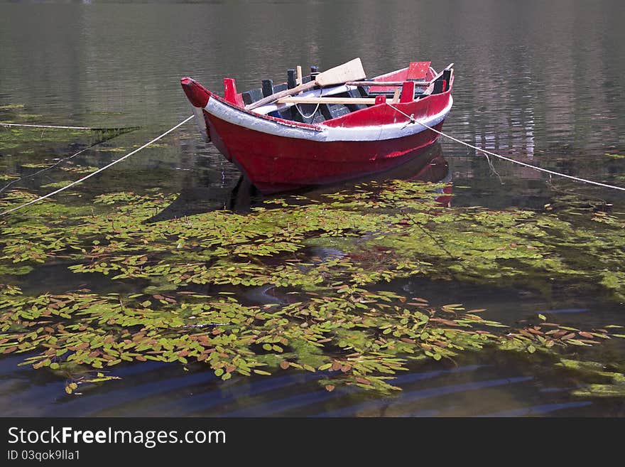 Douro River Boat