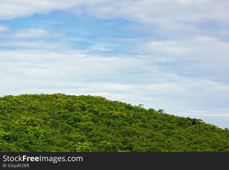 Beautiful forest and blue skyon island. Beautiful forest and blue skyon island