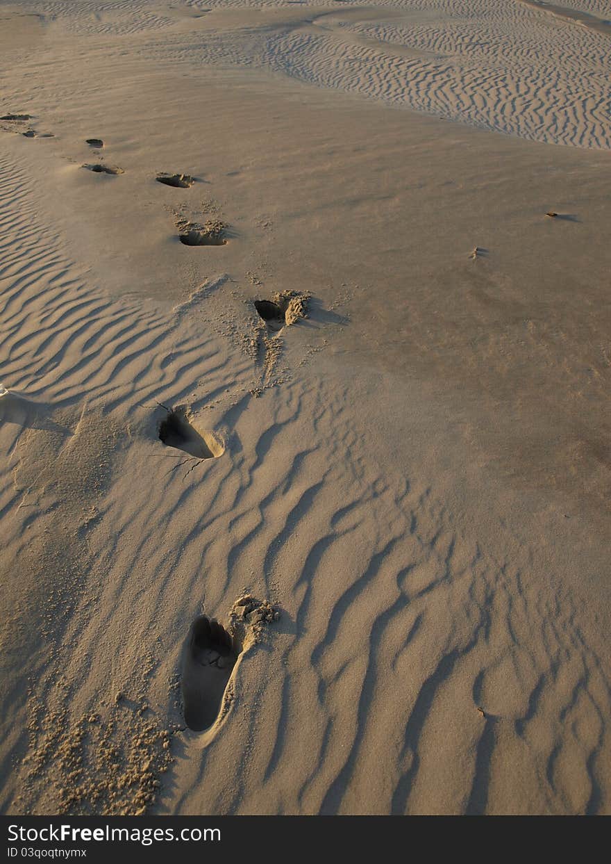 Footsteps in the sand