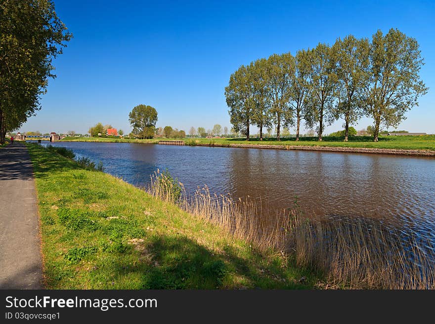 Row of trees near the canal in spring time