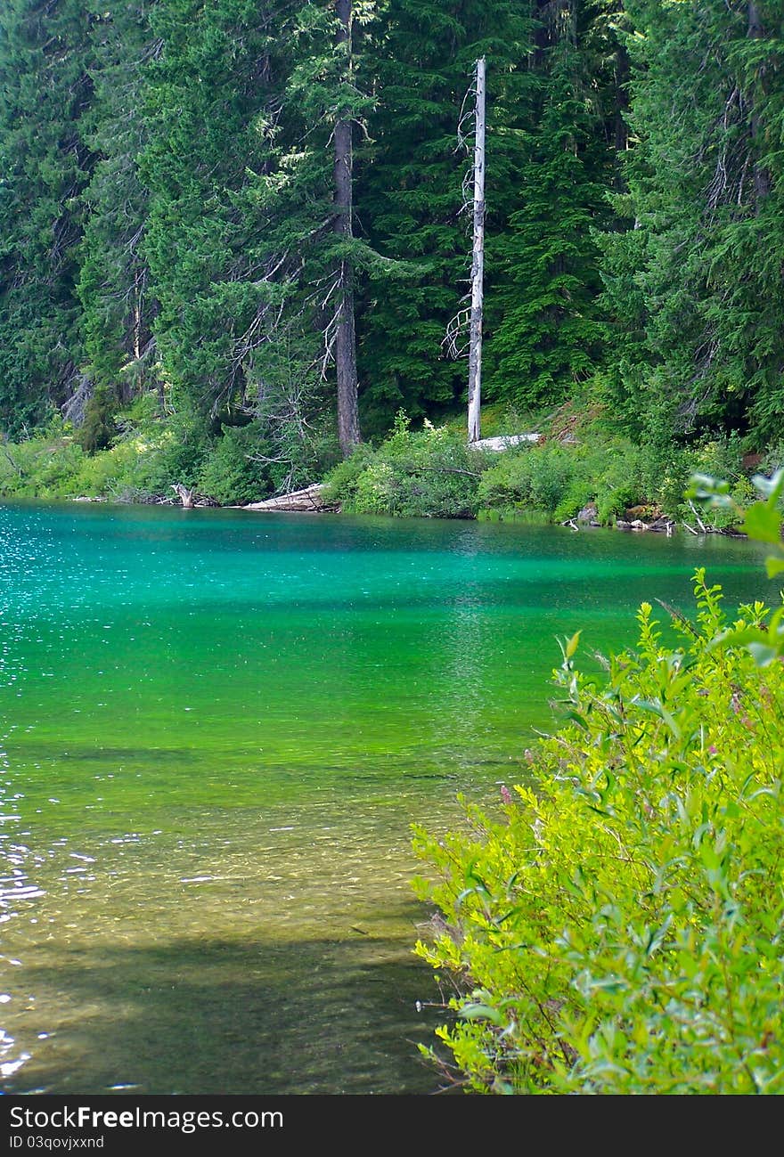 Shoreline hues of Clear Lake in Oregon. Shoreline hues of Clear Lake in Oregon