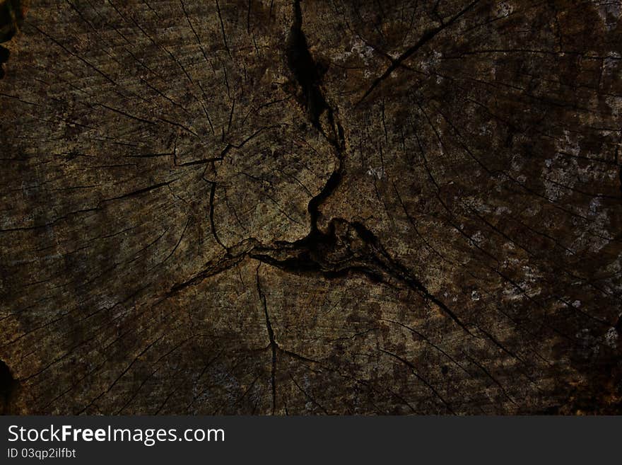 Old tree stump surface, background. Old tree stump surface, background