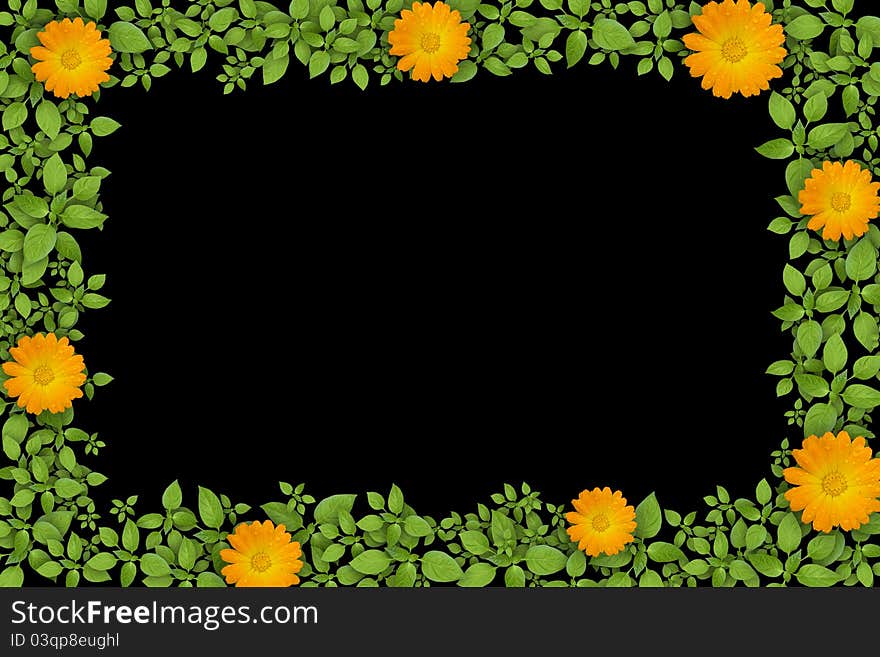 Green Plant Frame With Flowers