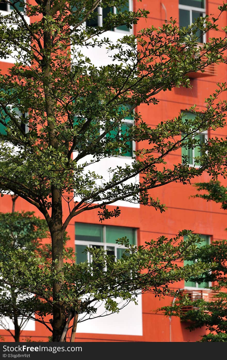 Green trees and red architecture