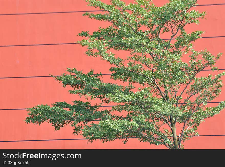 Red Architecture Background And Green Plant