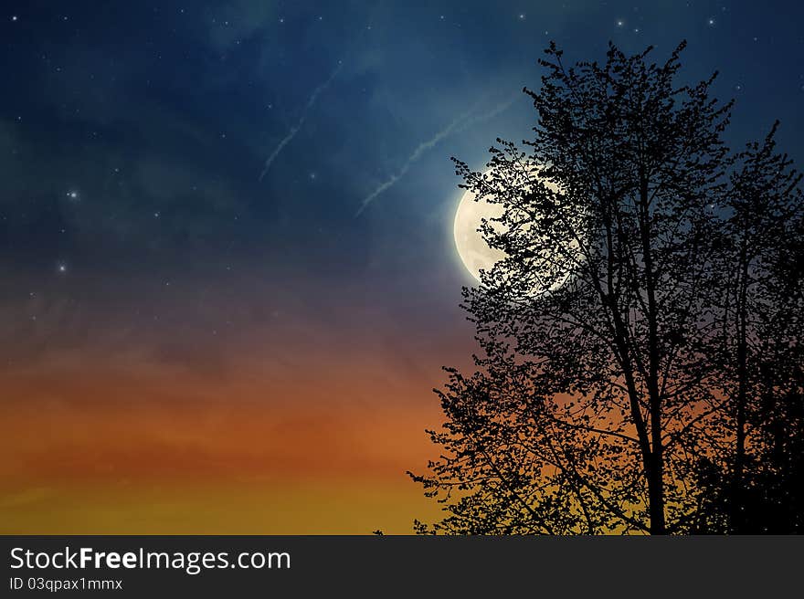 Sunset tree and moon, silhouette of tree