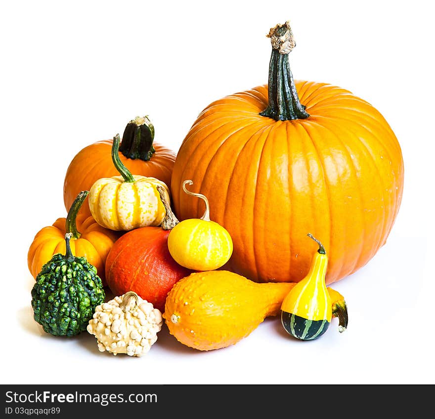 Ripe Pumpkin Fruits Isolated