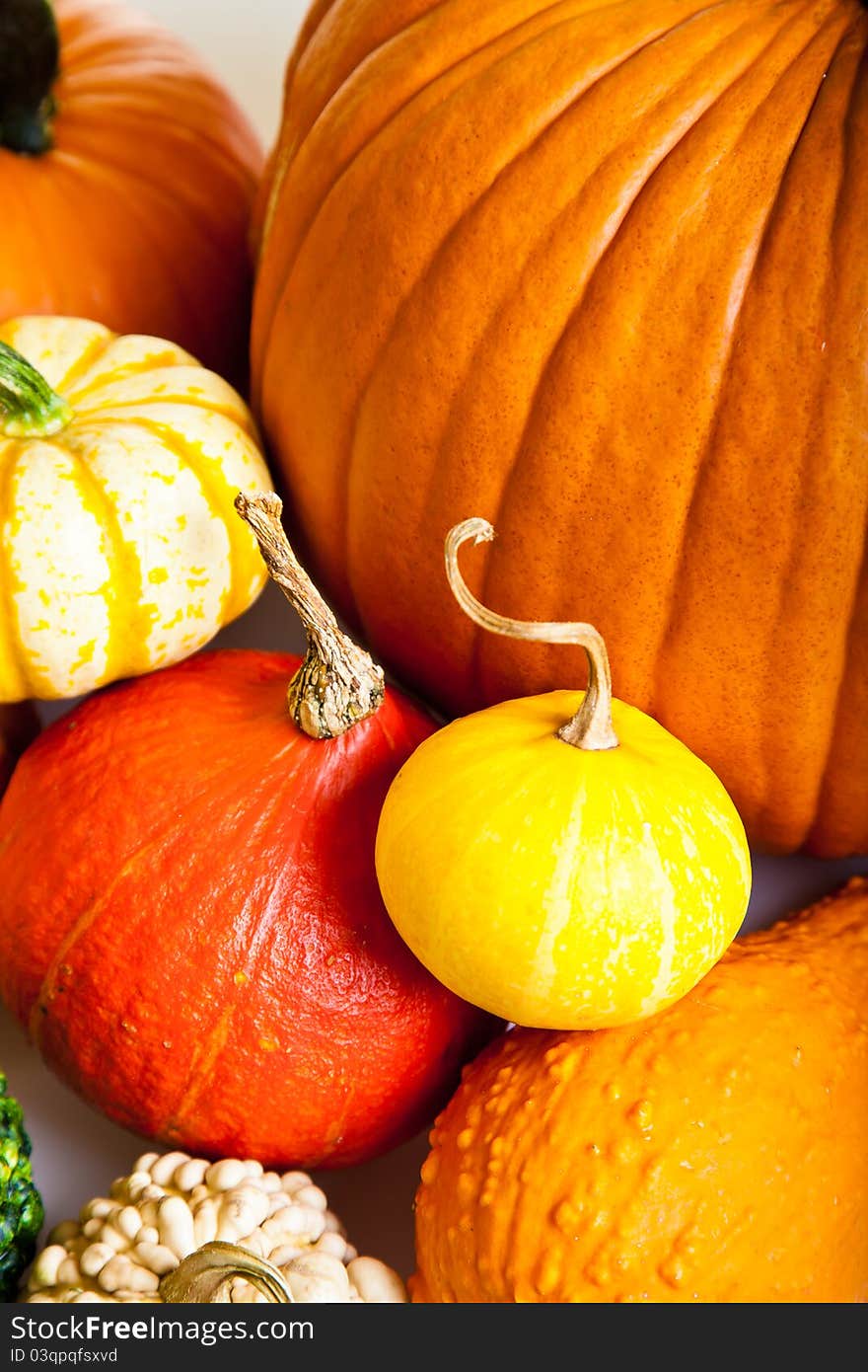 Ripe pumpkin fruits isolated on white