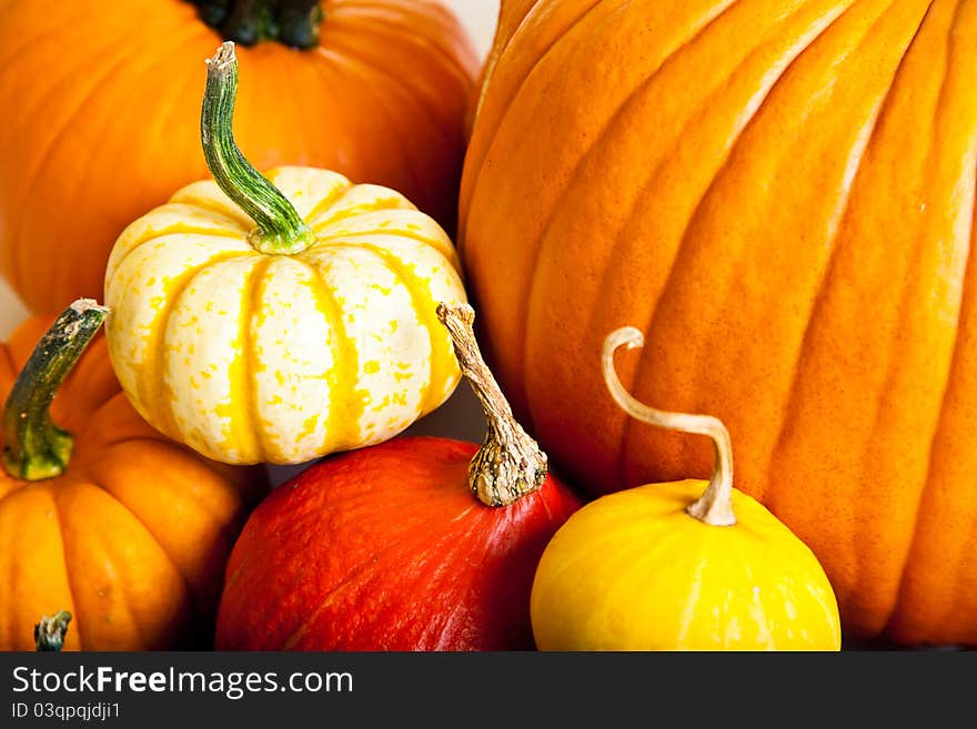 Ripe pumpkin fruits isolated on white