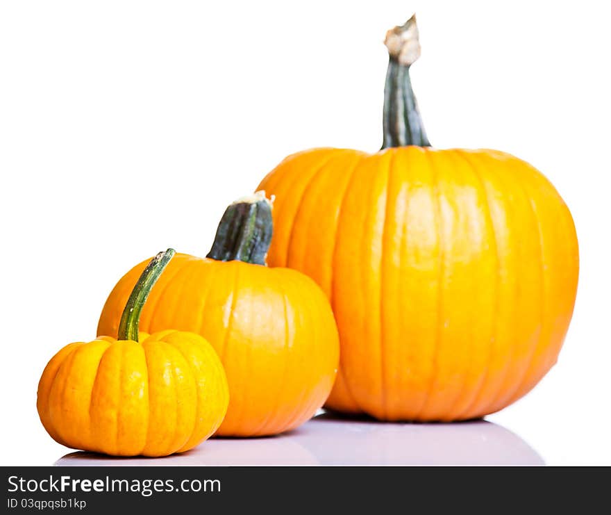 Ripe pumpkin fruits isolated