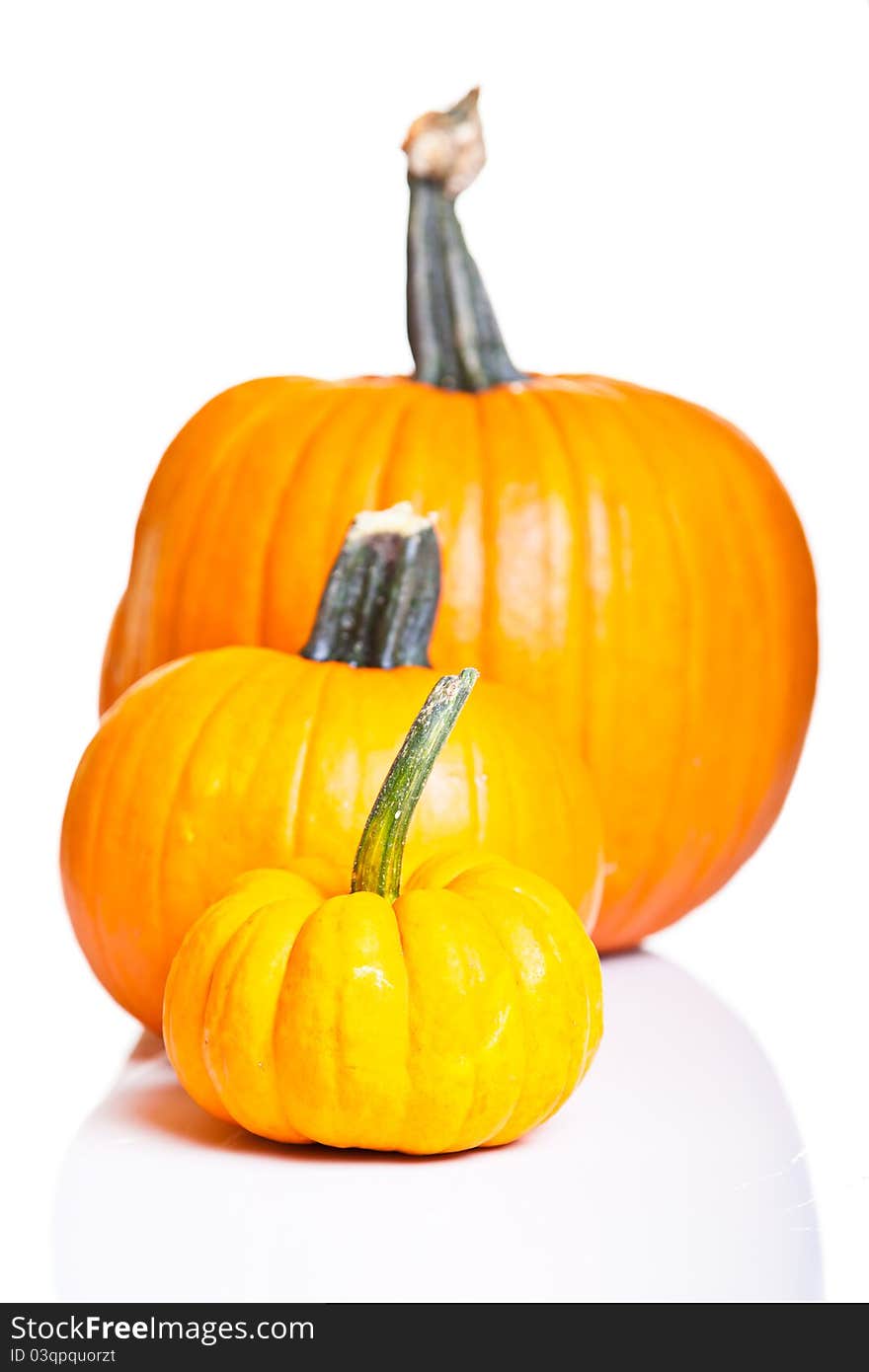 Ripe pumpkin fruits isolated on white