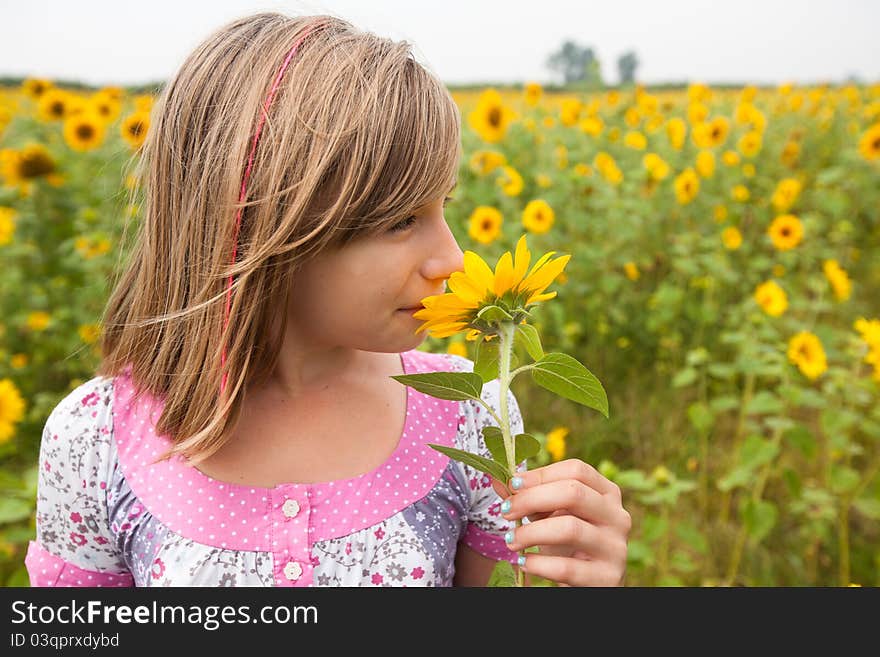 A girl in pink blouse, smelling sunflower, on field of sunflowers