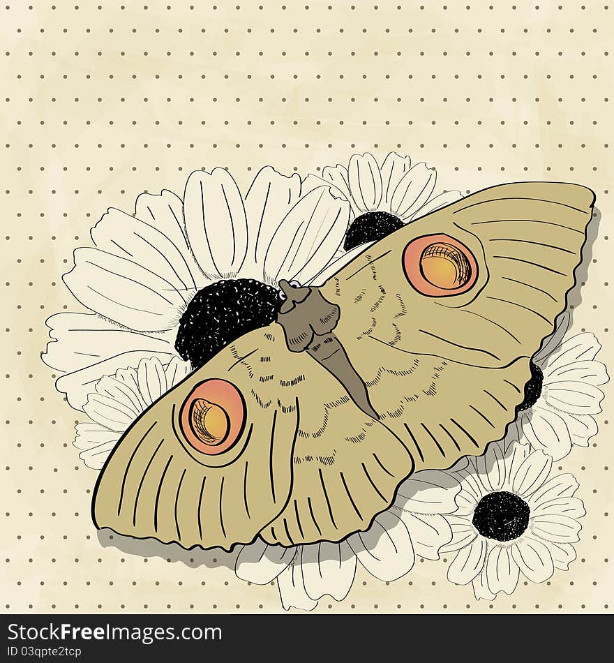 Vector picture with butterfly and flowers. Vector picture with butterfly and flowers