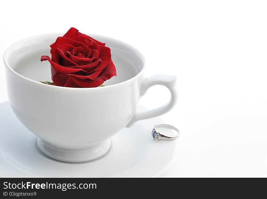 Concepts: Marry me?, proposal, gift on Valentine's Day, wedding, love, surprice. Red rose in the white cup and ring. Concepts: Marry me?, proposal, gift on Valentine's Day, wedding, love, surprice. Red rose in the white cup and ring.