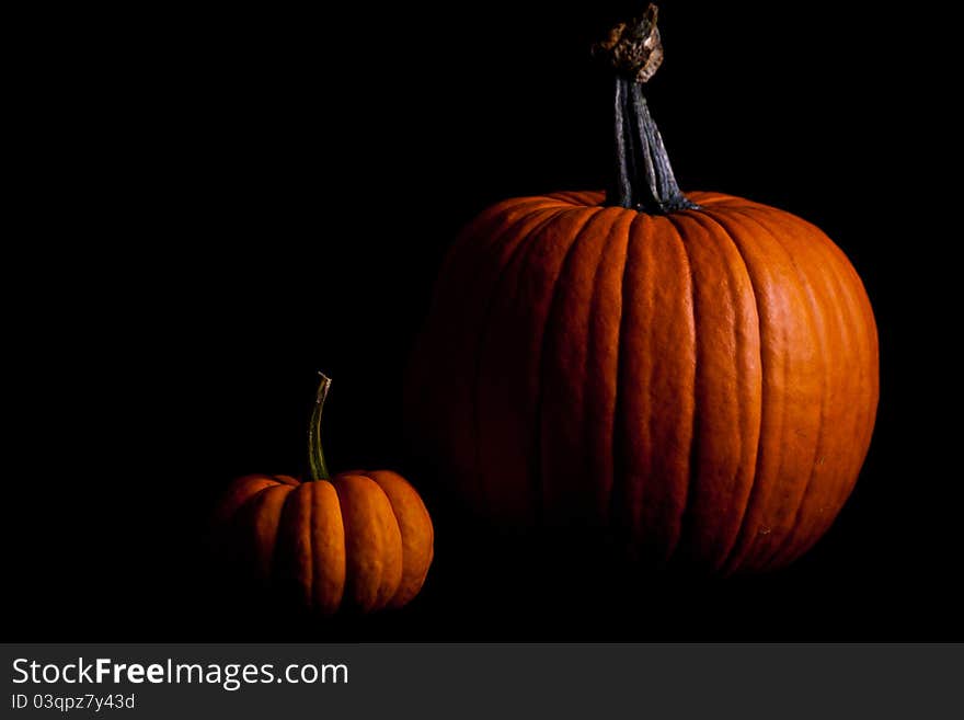 Ripe pumpkin fruits isolated on