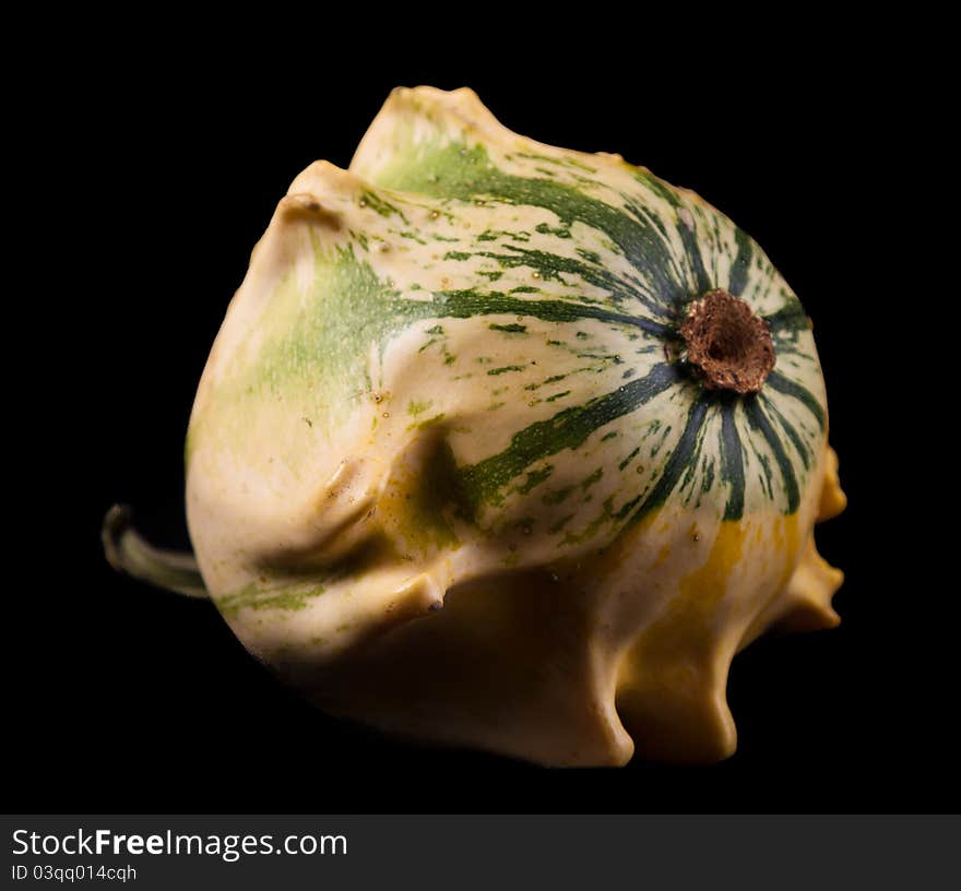 Ripe pumpkin fruits isolated on