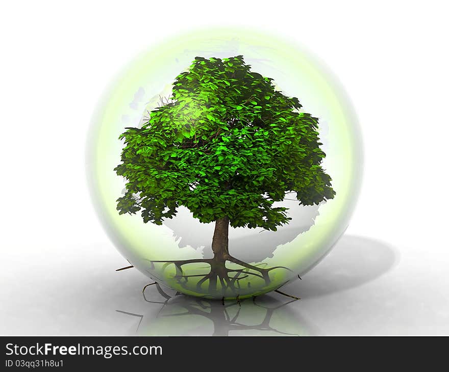 A green tree in a transparent bubble. A green tree in a transparent bubble