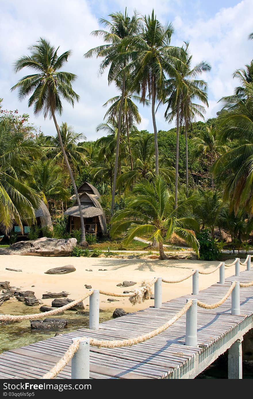 Sea and pier from palm trees