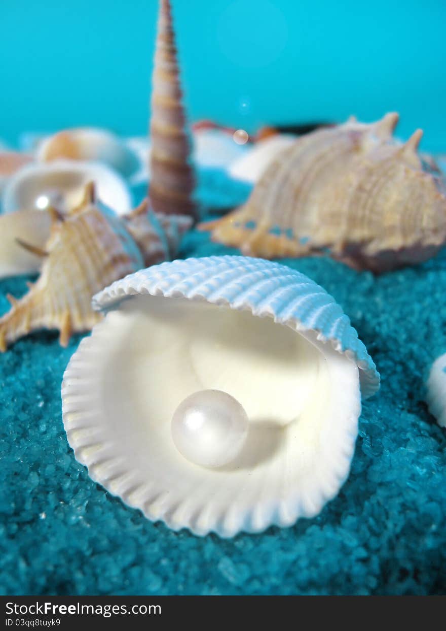 Pearls and shells in the deep sea