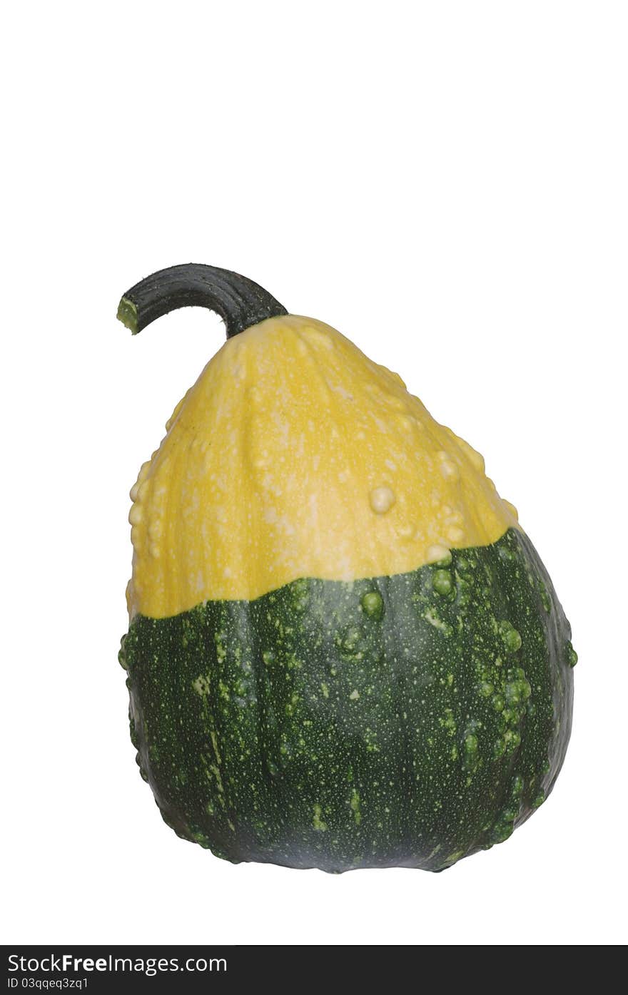 Yellow green pumpkin on white background