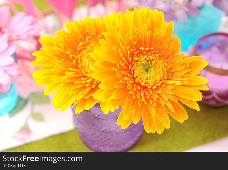 Flowers in pot