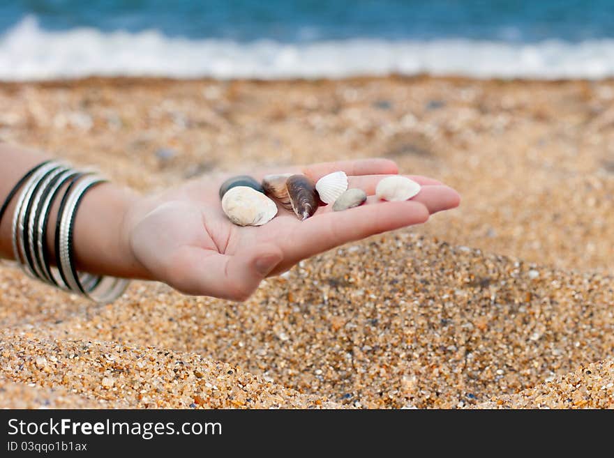 Seashells on the hand against the sea