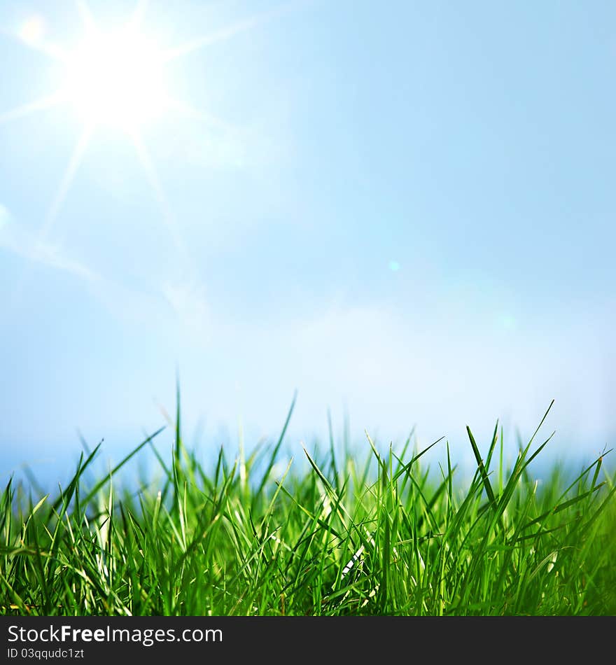 Green grass under blue sky