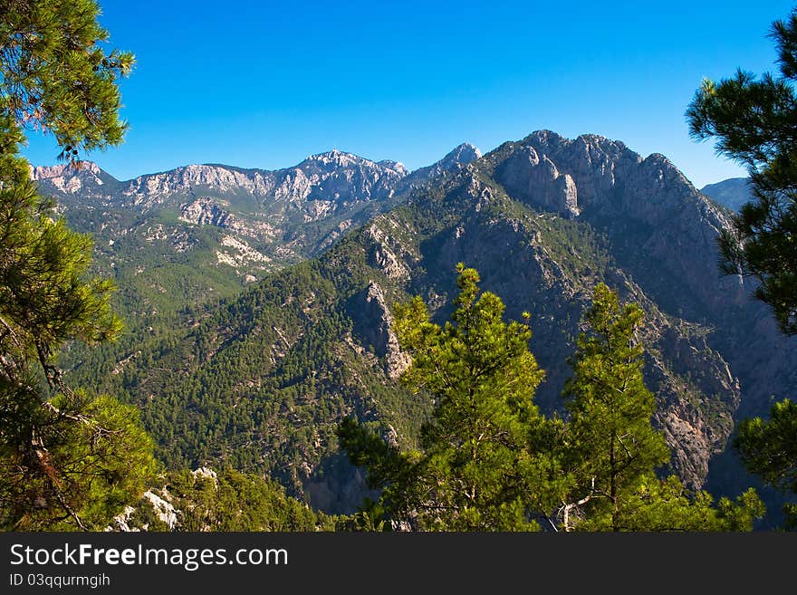 Rocks and trees of the canyon Goynuk in Taurus Mountains. Turkey. Rocks and trees of the canyon Goynuk in Taurus Mountains. Turkey