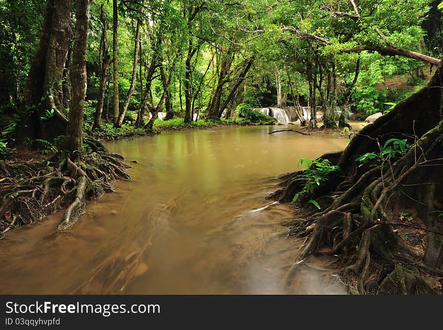 The flowing of water in forest. The flowing of water in forest