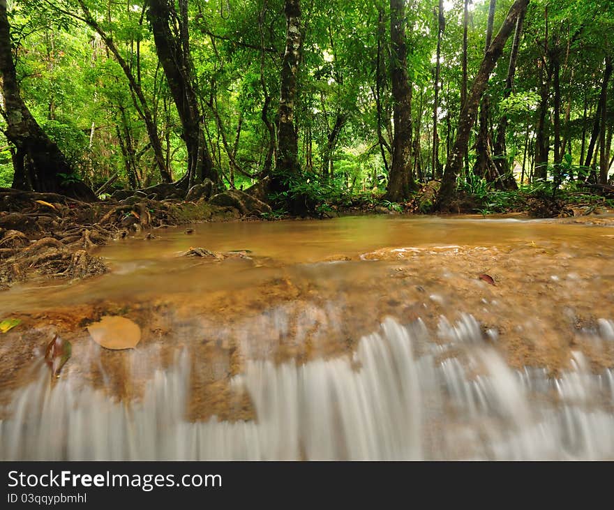 The flowing of water in forest. The flowing of water in forest