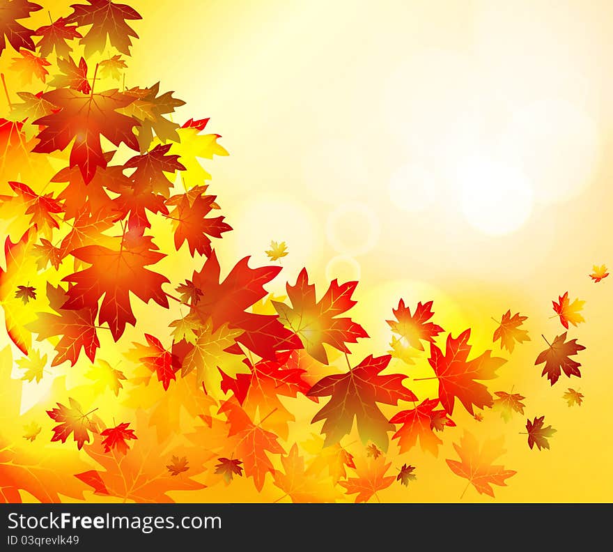 Autumn Leaves Background