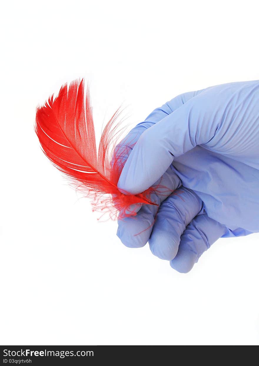 Blue medical glove with red feathers. Blue medical glove with red feathers