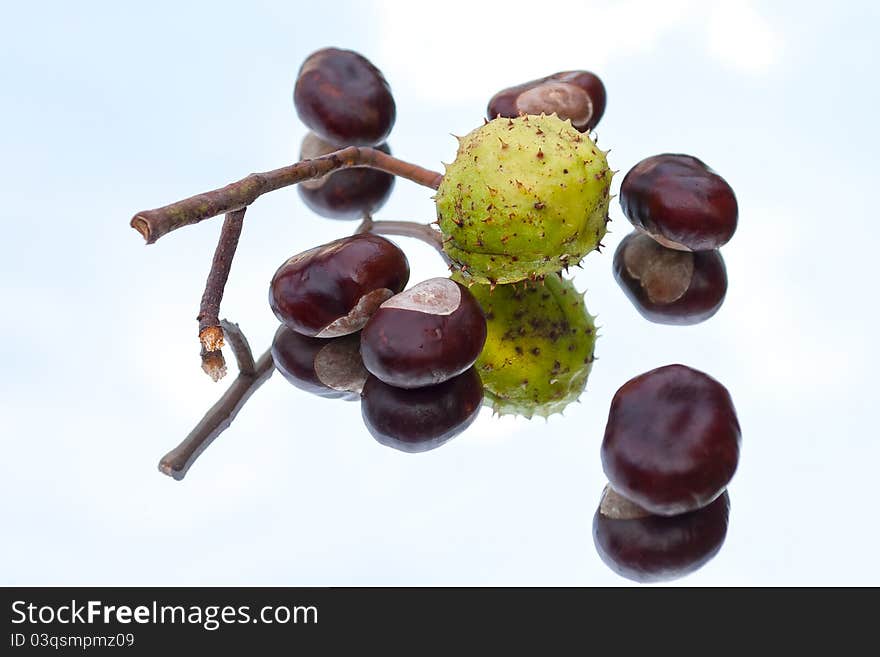 A lot of chestnuts on mirror