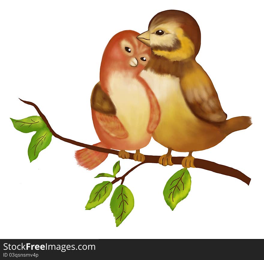 Two loving birds on a white background. Two loving birds on a white background