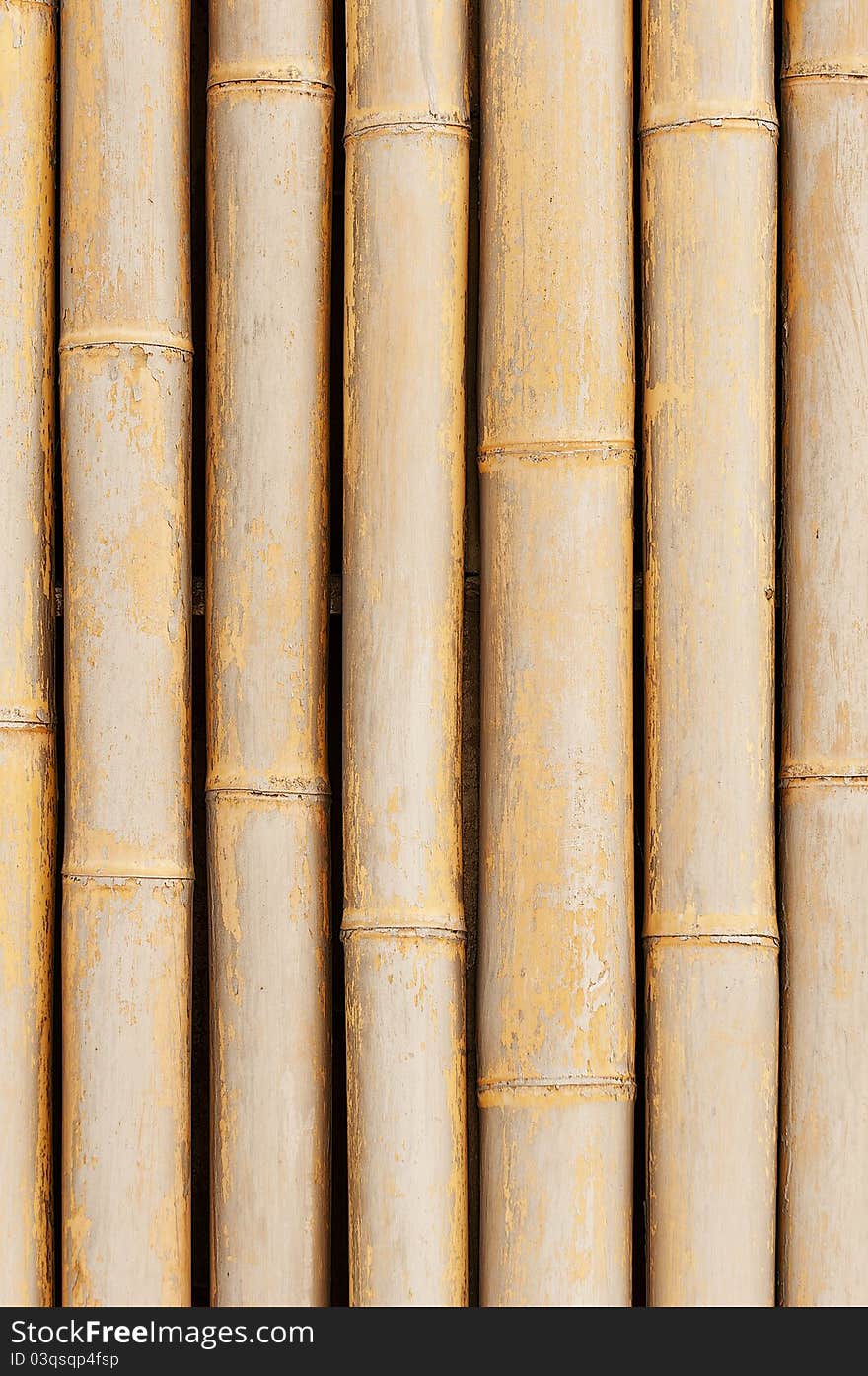 Bamboo  wall