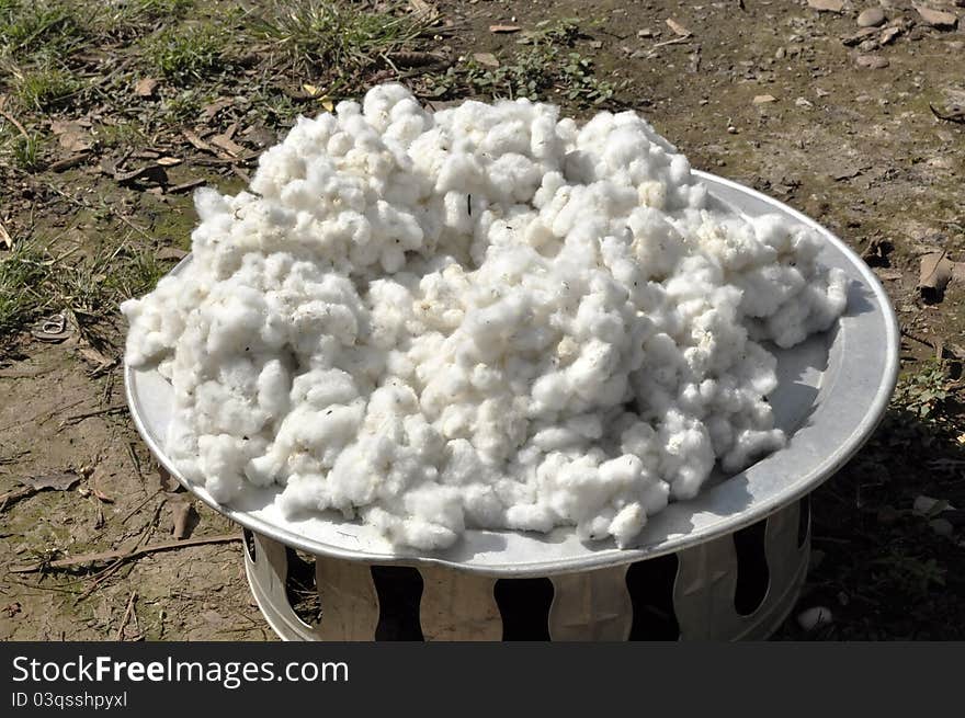 The pile of raw cotton together. In the agricultural sector. The pile of raw cotton together. In the agricultural sector.