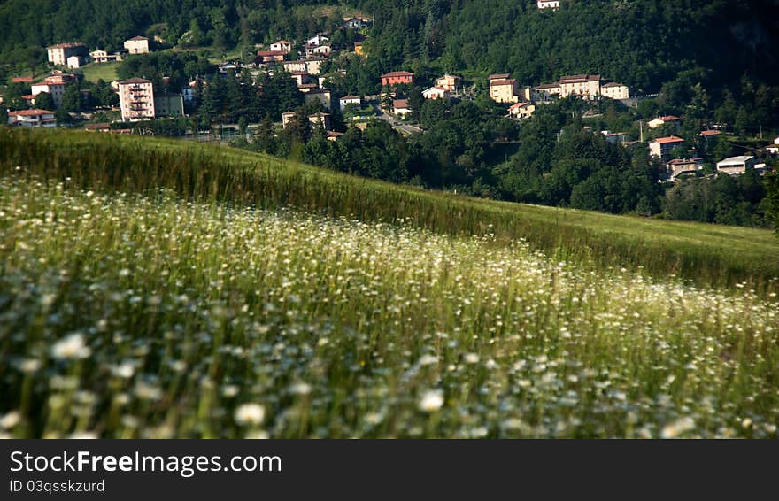 Rural views of Tuscany, Italy