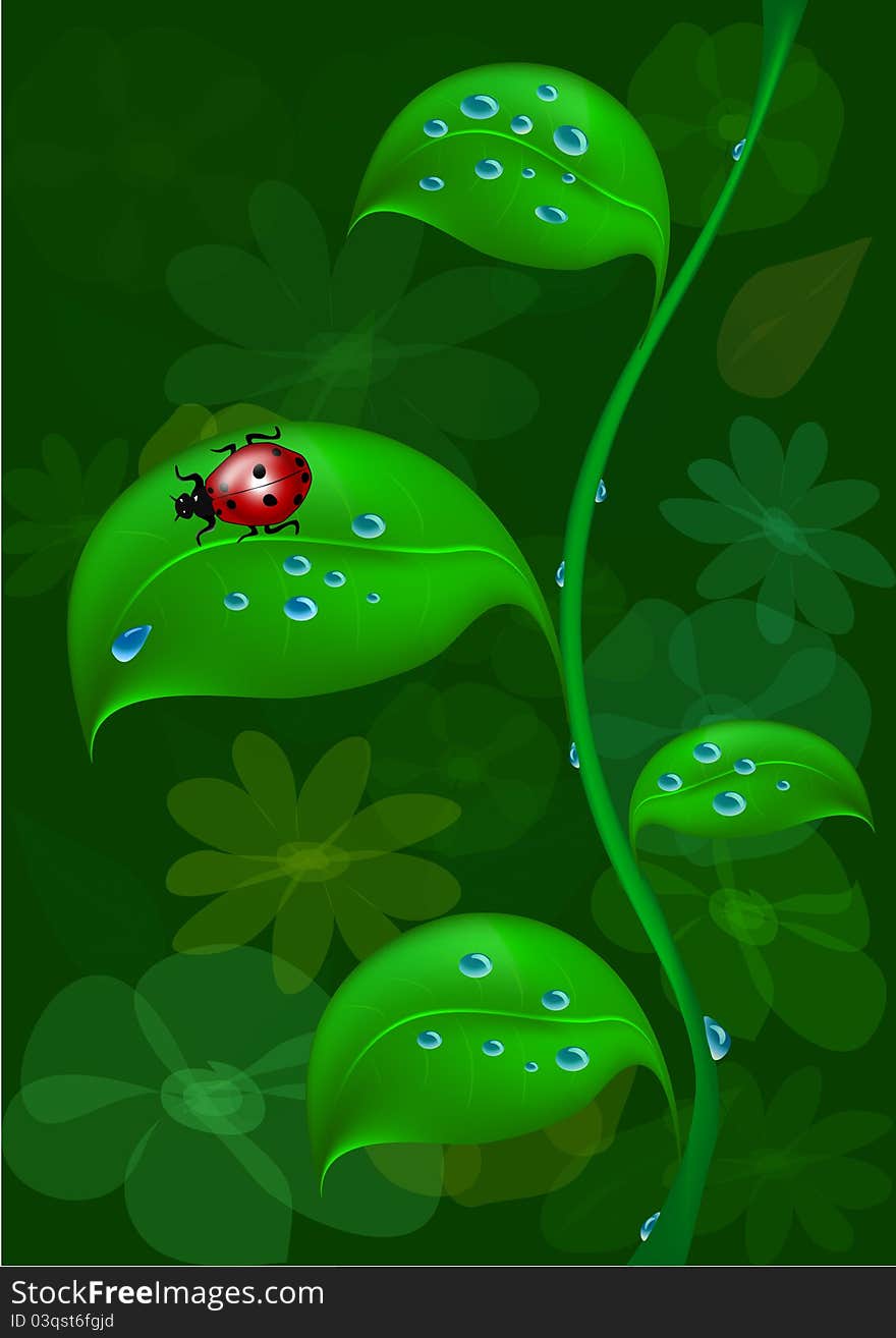 Ladybird on leaf, illustration, on a background with flowers. Ladybird on leaf, illustration, on a background with flowers