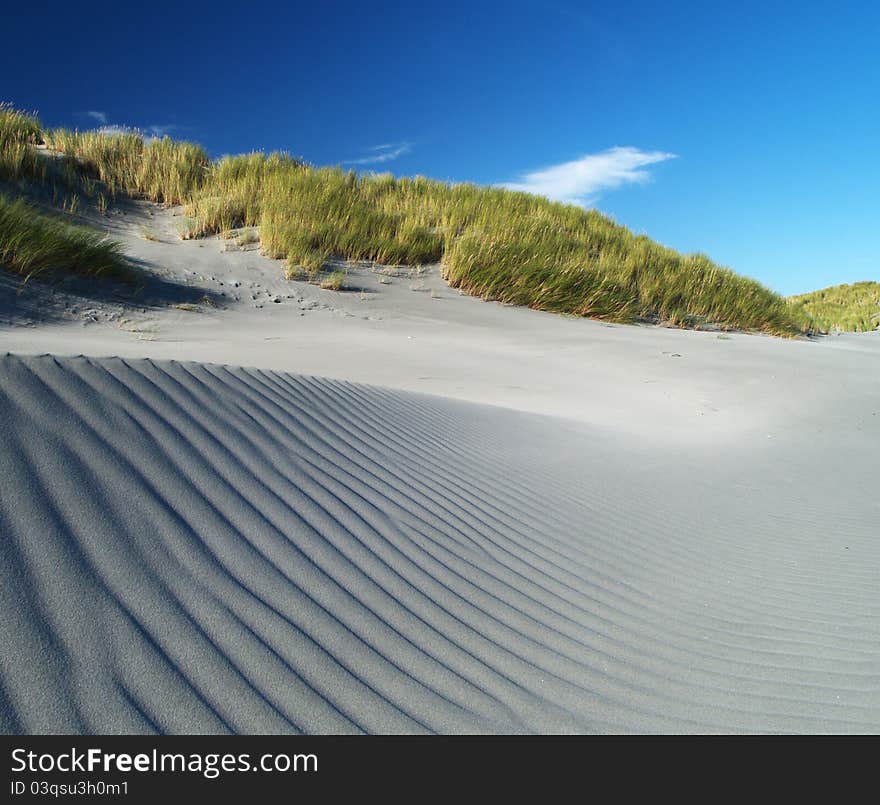 Grass and sand dunes, Farewell Spit, South island, New Zealand