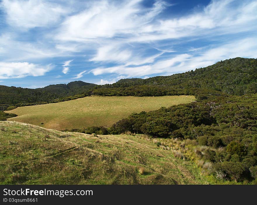 Farmland around Puponga, Farewell spit, South island, New Zealand