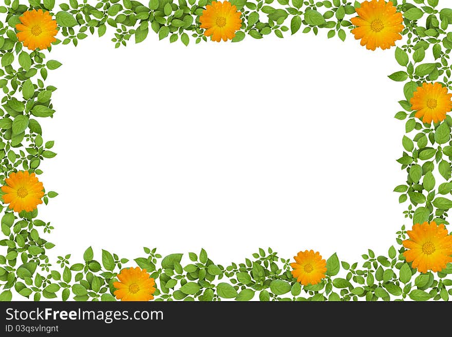 Green Plant Frame With Yellow Flowers