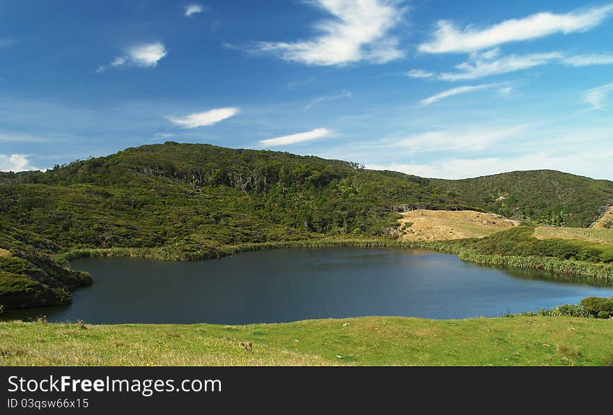 Nikau lake