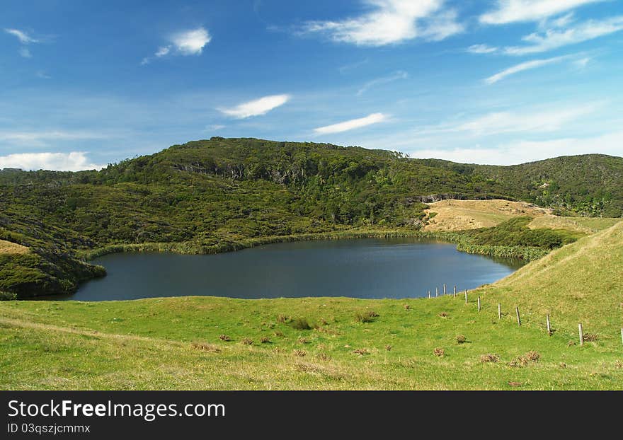 Nikau Lake