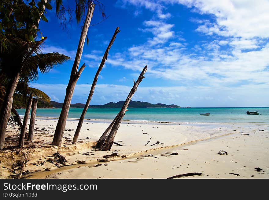 View Of White Sandy  Beach In Praslin