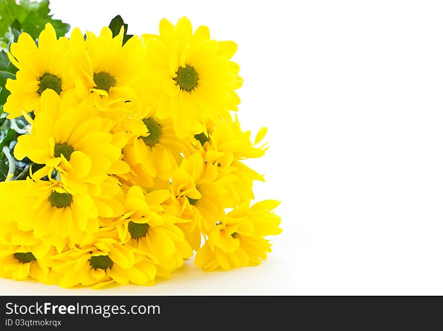 Beautiful bouquet of yellow chrysanthemums on a white background