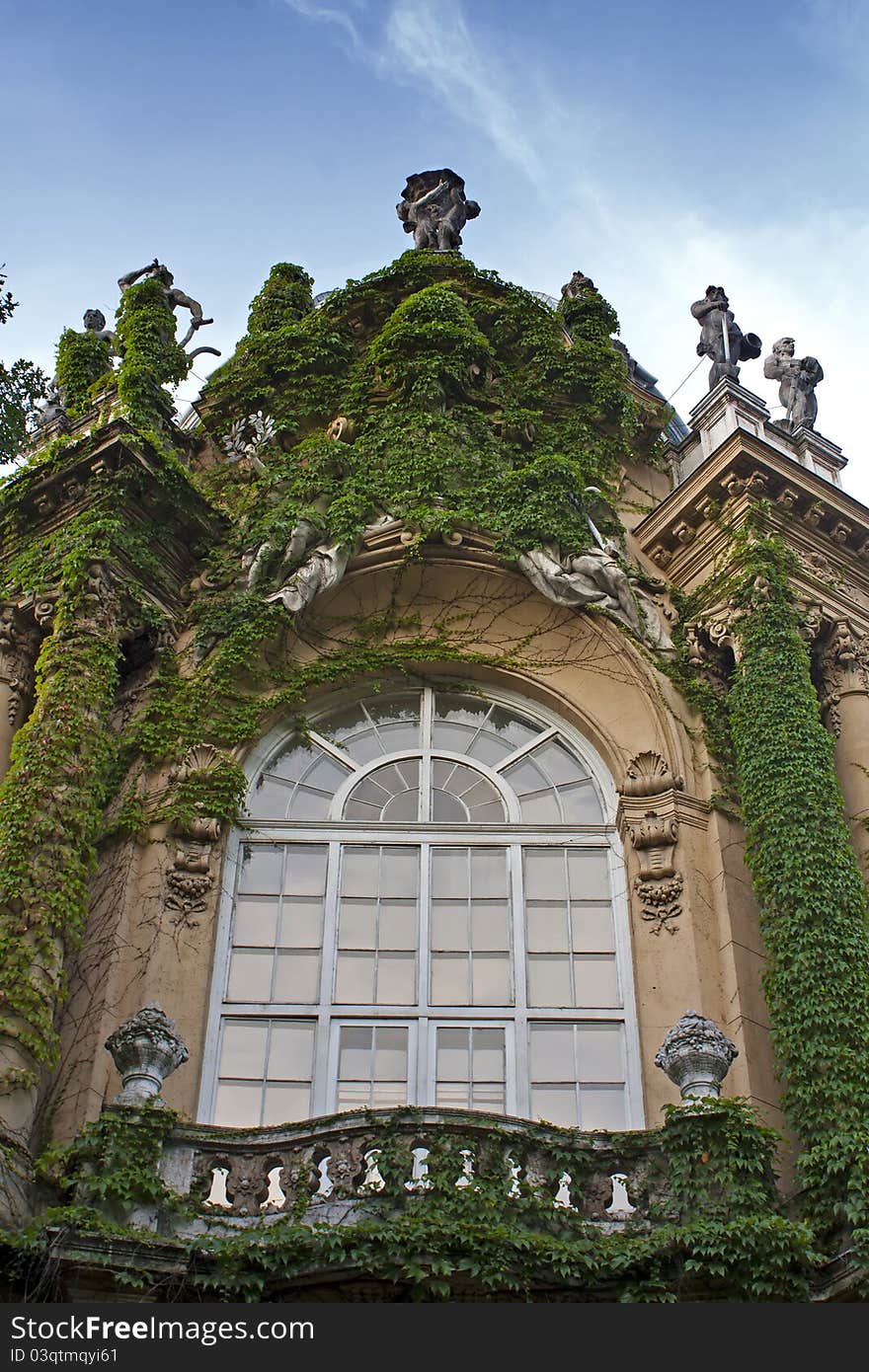 Architectural detail of climbing Ivy growing over and arched baroque style window. Architectural detail of climbing Ivy growing over and arched baroque style window