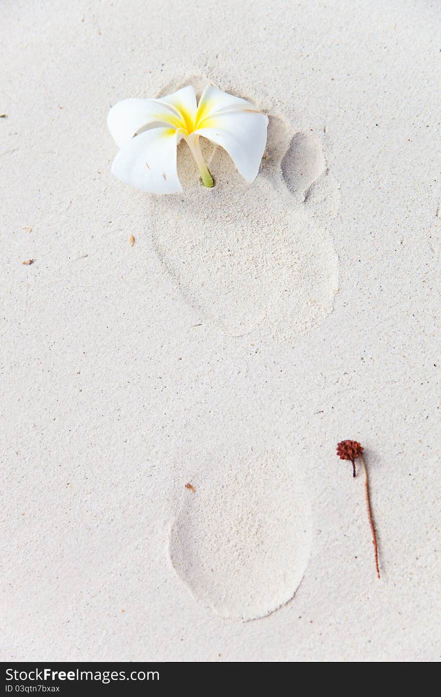 Footprint With Frangipani Flower