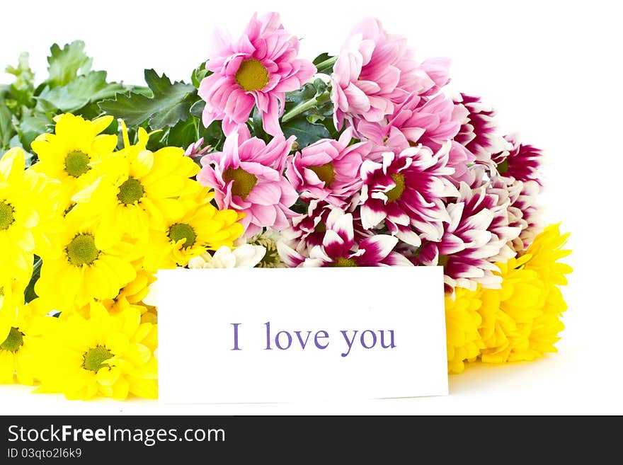 Beautiful bouquet of yellow chrysanthemums on a white background