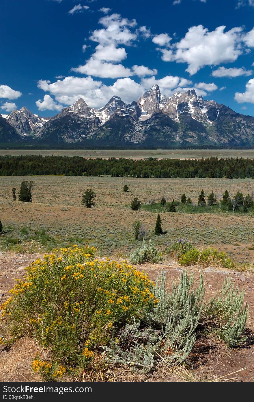 A spectacular view of the Teton. A spectacular view of the Teton